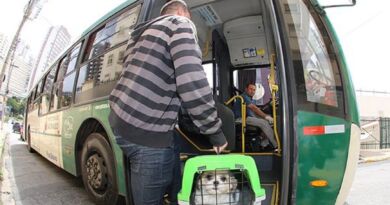 Lei que autoriza transporte de animais em ônibus é sancionada
