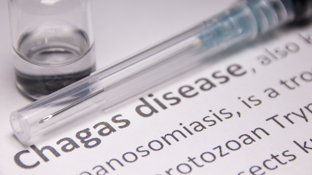 Dia mundial do combate à Doença de Chagas