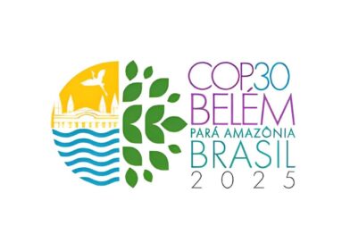 COP 30