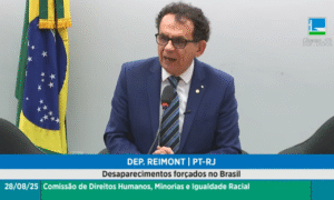 Câmara dos Deputados realiza audiência sobre reforça mobilização - nacional pela vida- Reimont